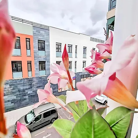 Apartman Deluxe ,